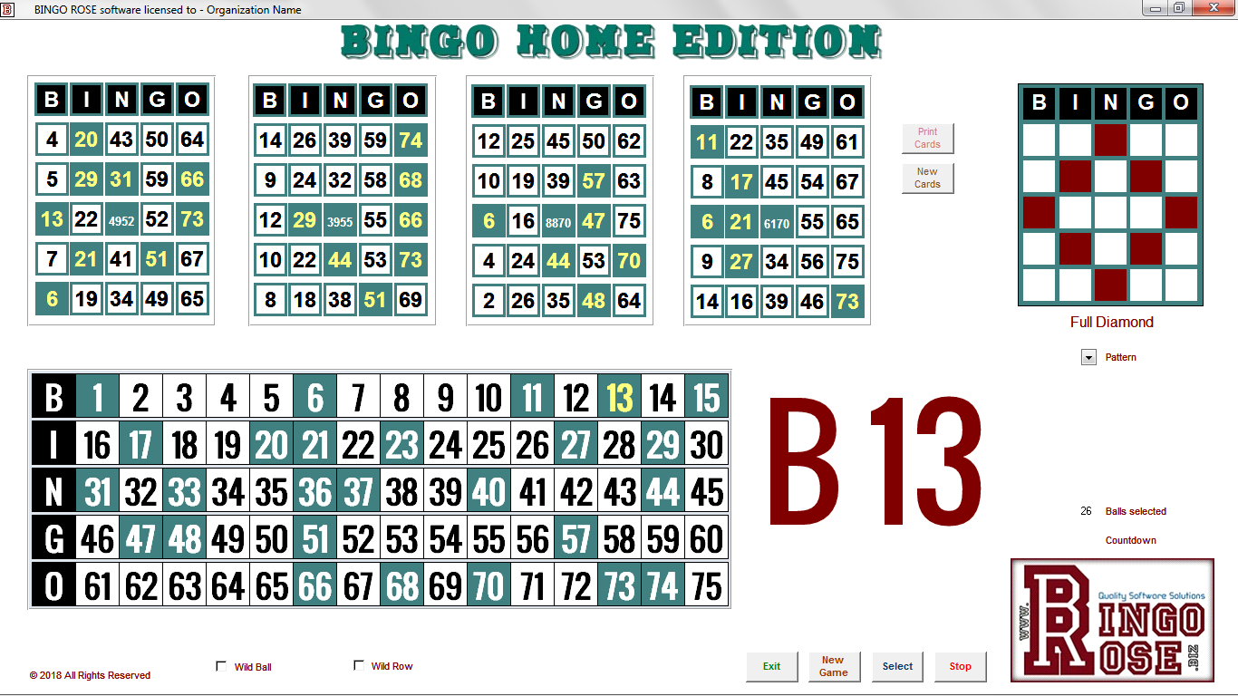 Bingo Home Edition main screen - Private mode
